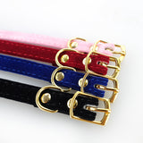 Fancy Collar - Gold Clasp