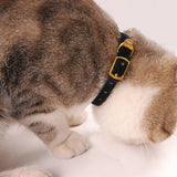 Fancy Collar - Gold Clasp