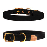 Fancy Collar - Gold Clasp