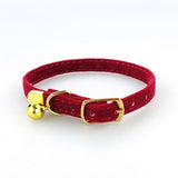 Fancy Collar - Gold Clasp